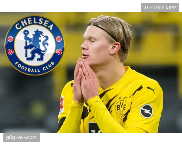 德甲夏窗新星闪耀旧将告别：转会市场动态引关注